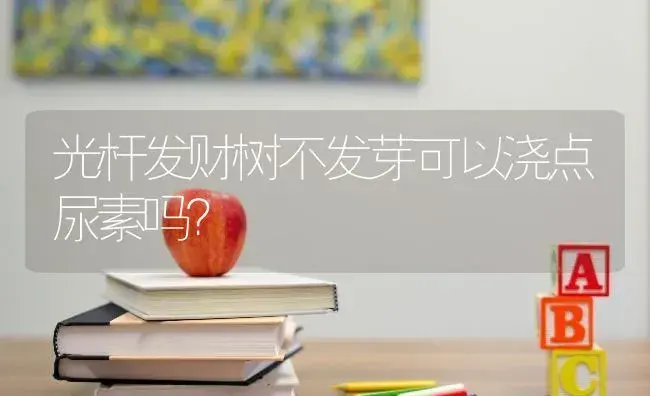 光杆发财树不发芽可以浇点尿素吗？ | 植物问答