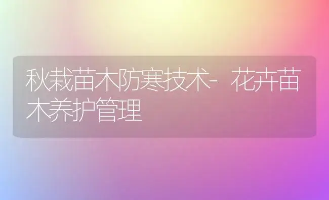 秋栽苗木防寒技术-花卉苗木养护管理 | 植物科普