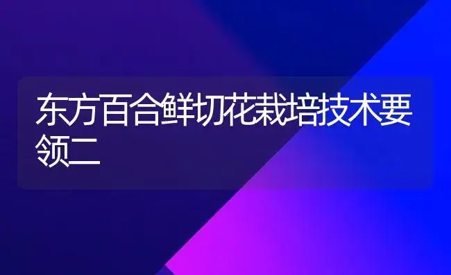 东方百合鲜切花栽培技术要领二 | 植物知识