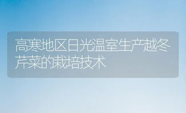 土豆被贱卖农民伤不起 农户急需经纪人“看风掌舵” | 植物百科