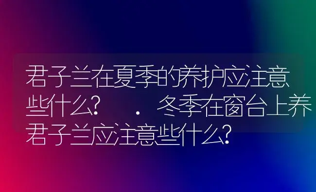 君子兰在夏季的养护应注意些什么? .冬季在窗台上养君子兰应注意些什么? | 植物科普