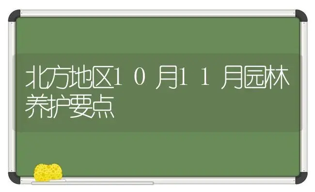 北方地区10月11月园林养护要点 | 植物科普