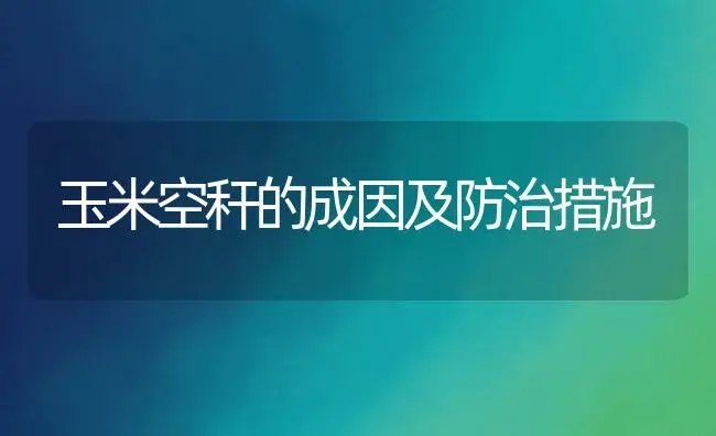 玉米空秆的成因及防治措施 | 植物资料