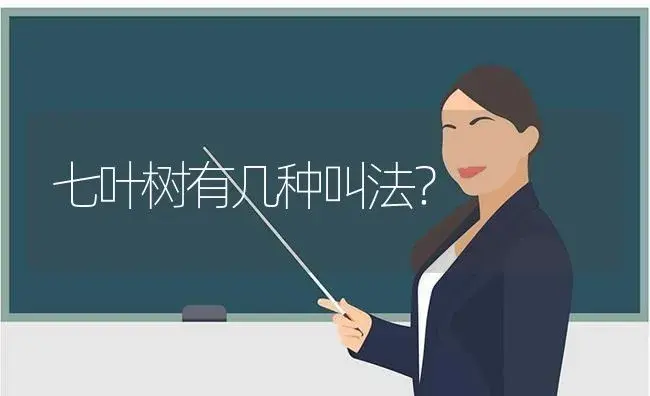 七叶树有几种叫法？ | 植物问答