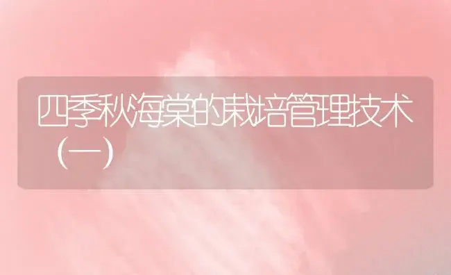 牡丹管理的注意事项 | 植物科普