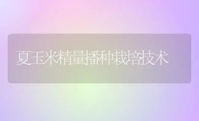 食用菌简易制种技术 | 植物科普