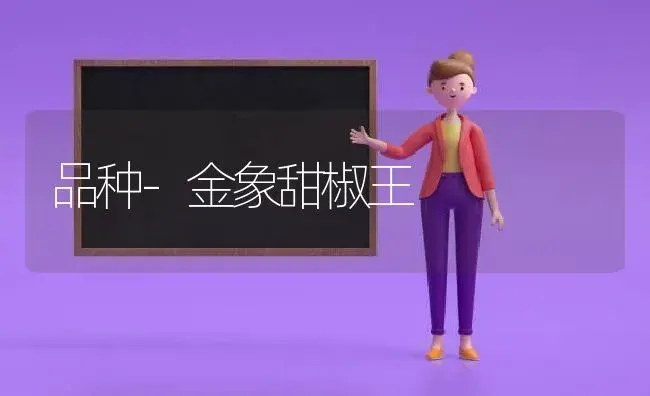 品种-金象甜椒王 | 植物科普