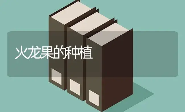火龙果的种植 | 植物科普
