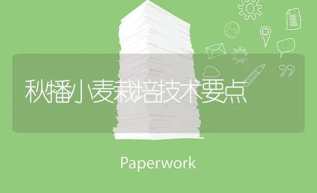 秋播小麦栽培技术要点 | 植物资料