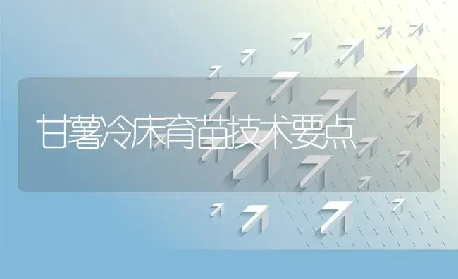 甘薯冷床育苗技术要点 | 植物资料