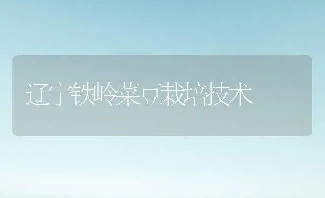 辽宁铁岭菜豆栽培技术 | 植物科普