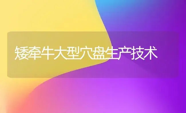 矮牵牛大型穴盘生产技术 | 植物科普