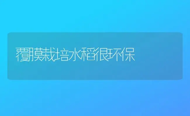 覆膜栽培水稻很环保 | 植物百科