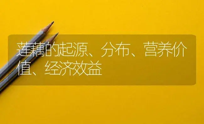 莲藕的起源、分布、营养价值、经济效益 | 植物百科