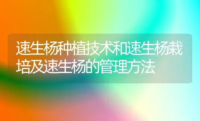 速生杨种植技术和速生杨栽培及速生杨的管理方法 | 植物科普