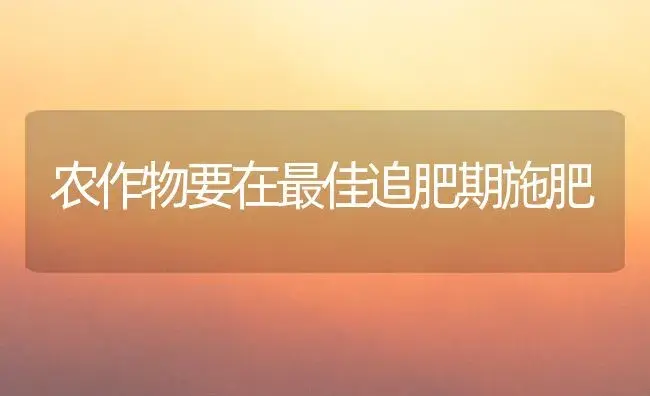 惠东大棚西瓜成冬种新亮点 | 植物科普
