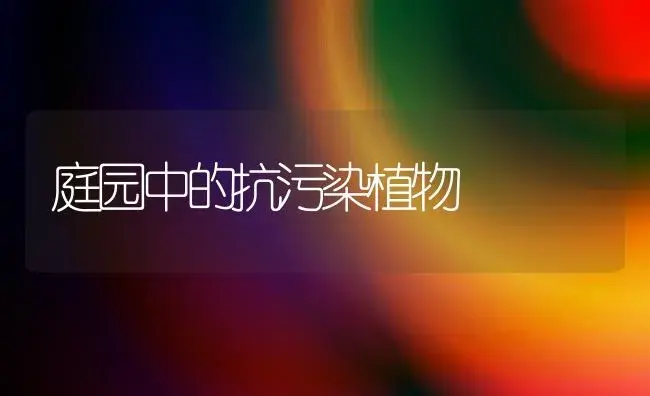 庭园中的抗污染植物 | 植物科普