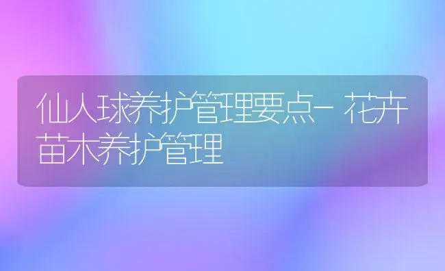 仙人球养护管理要点-花卉苗木养护管理 | 植物科普