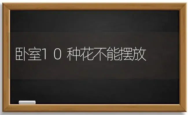 卧室10种花不能摆放 | 植物科普