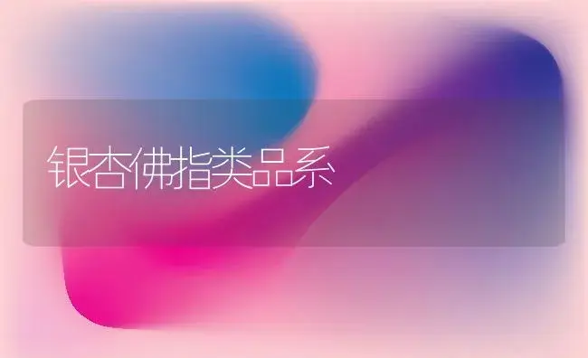 银杏佛指类品系 | 植物知识