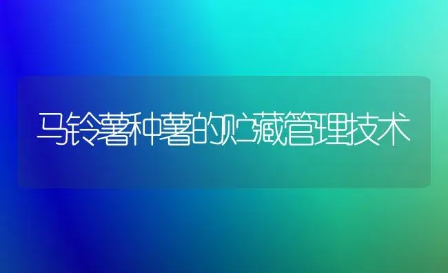 马铃薯种薯的贮藏管理技术 | 植物科普