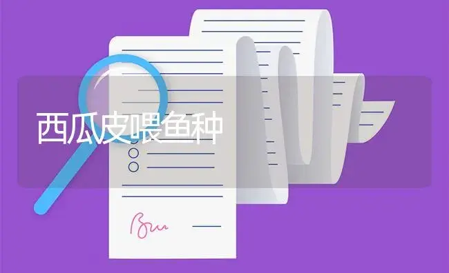 西瓜皮喂鱼种 | 植物百科