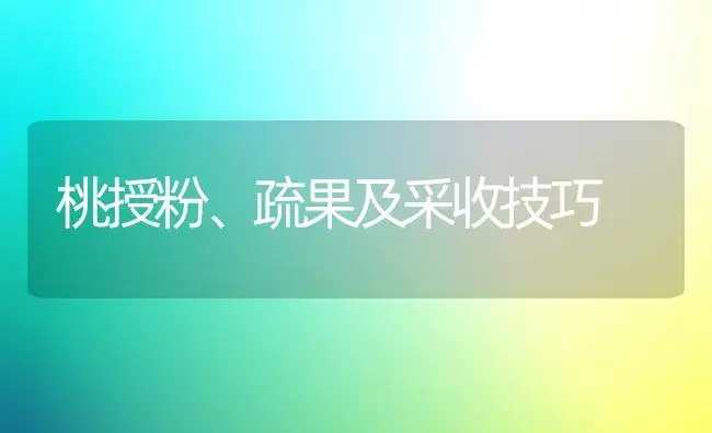 桃授粉、疏果及采收技巧 | 植物科普