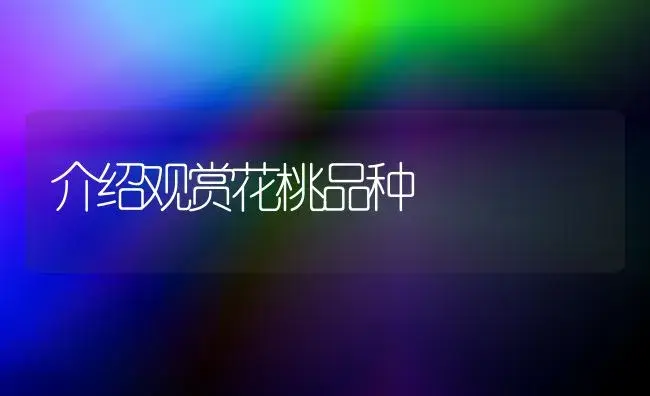 介绍观赏花桃品种 | 植物科普