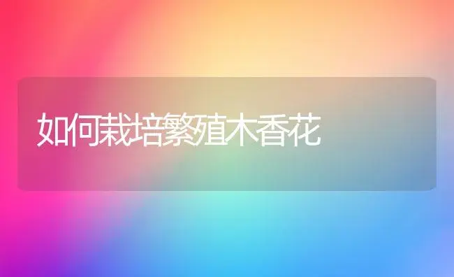 如何栽培繁殖木香花 | 植物知识