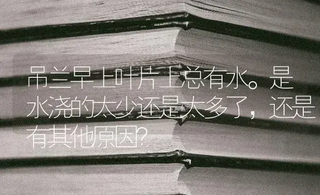 吊兰早上叶片上总有水。是水浇的太少还是太多了，还是有其他原因？ | 植物问答