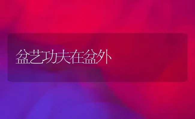 盆艺功夫在盆外 | 植物科普