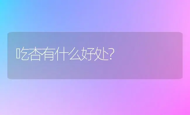 吃杏有什么好处？ | 植物科普