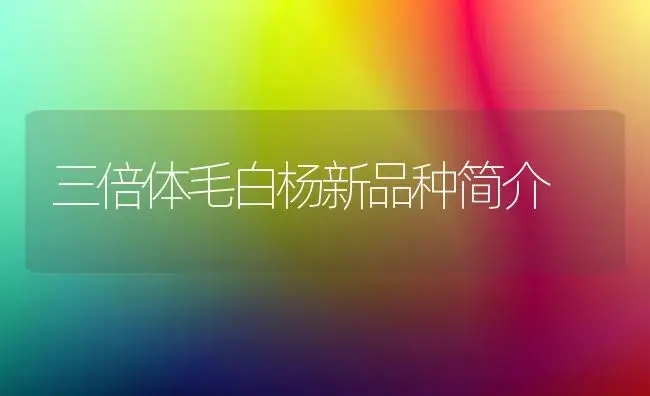 三倍体毛白杨新品种简介 | 植物科普