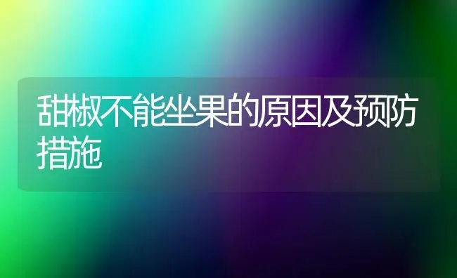 甜椒不能坐果的原因及预防措施 | 植物百科