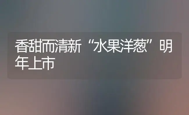 香甜而清新“水果洋葱”明年上市 | 植物科普