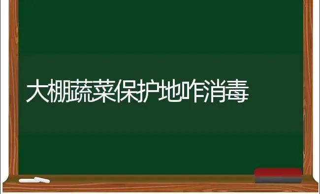 有棱丝瓜雅绿一号 | 植物科普