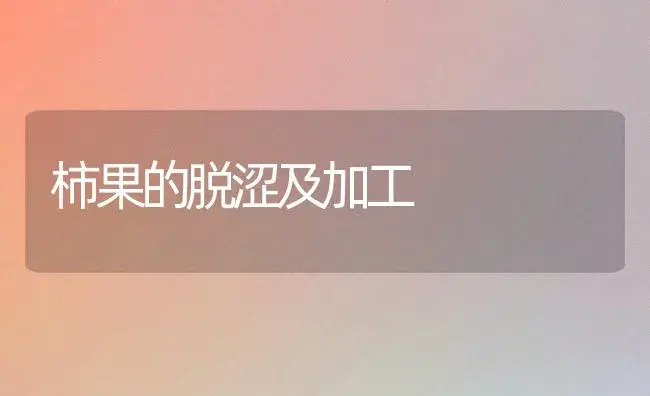 柿果的脱涩及加工 | 植物百科