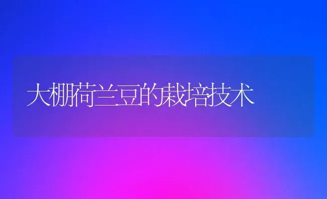 早春西葫芦高产技术 | 植物科普