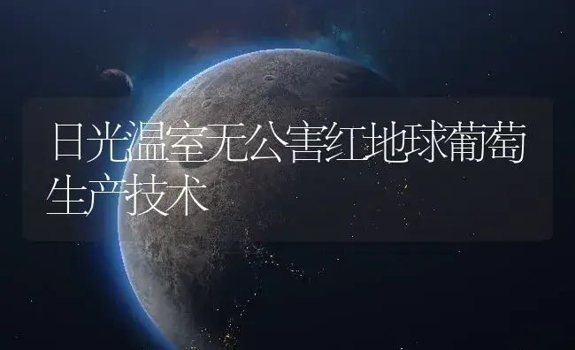 日光温室无公害红地球葡萄生产技术 | 植物百科