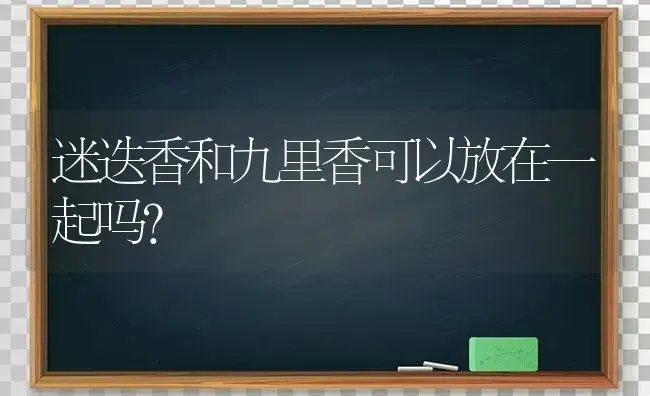 迷迭香和九里香可以放在一起吗？ | 植物问答