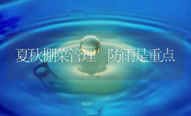 夏秋棚菜管理 防雨是重点 | 植物百科