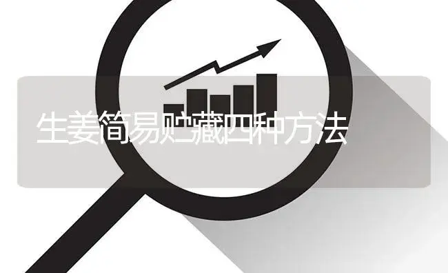 生姜简易贮藏四种方法 | 植物百科