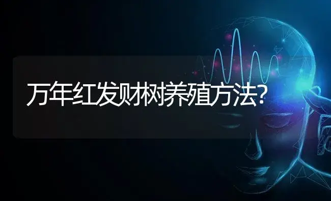 万年红发财树养殖方法？ | 植物问答