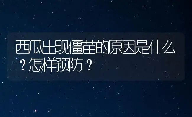 西瓜出现僵苗的原因是什么？怎样预防？ | 植物百科