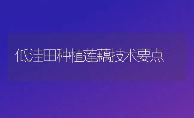火龙果栽培技术 | 植物科普