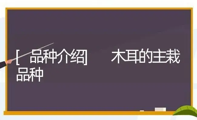 [品种介绍] 木耳的主栽品种 | 植物科普