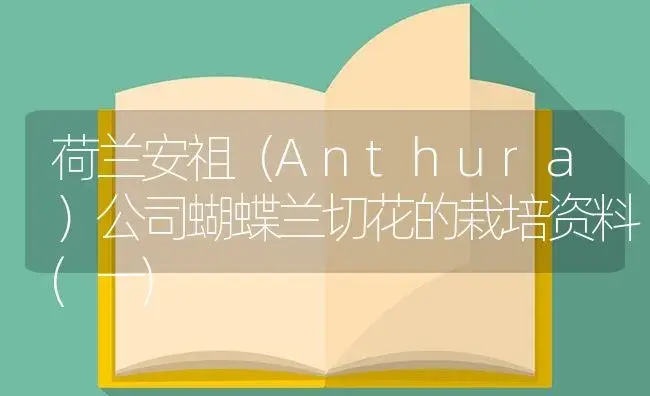 荷兰安祖（Anthura）公司蝴蝶兰切花的栽培资料(一) | 植物知识