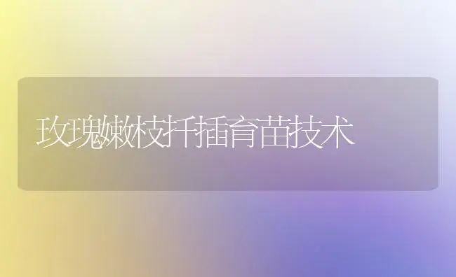 玫瑰嫩枝扦插育苗技术 | 植物知识
