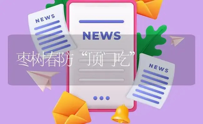 枣树春防“顶门吃” | 植物资料