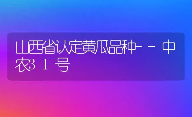 山西省认定黄瓜品种--中农31号 | 植物科普